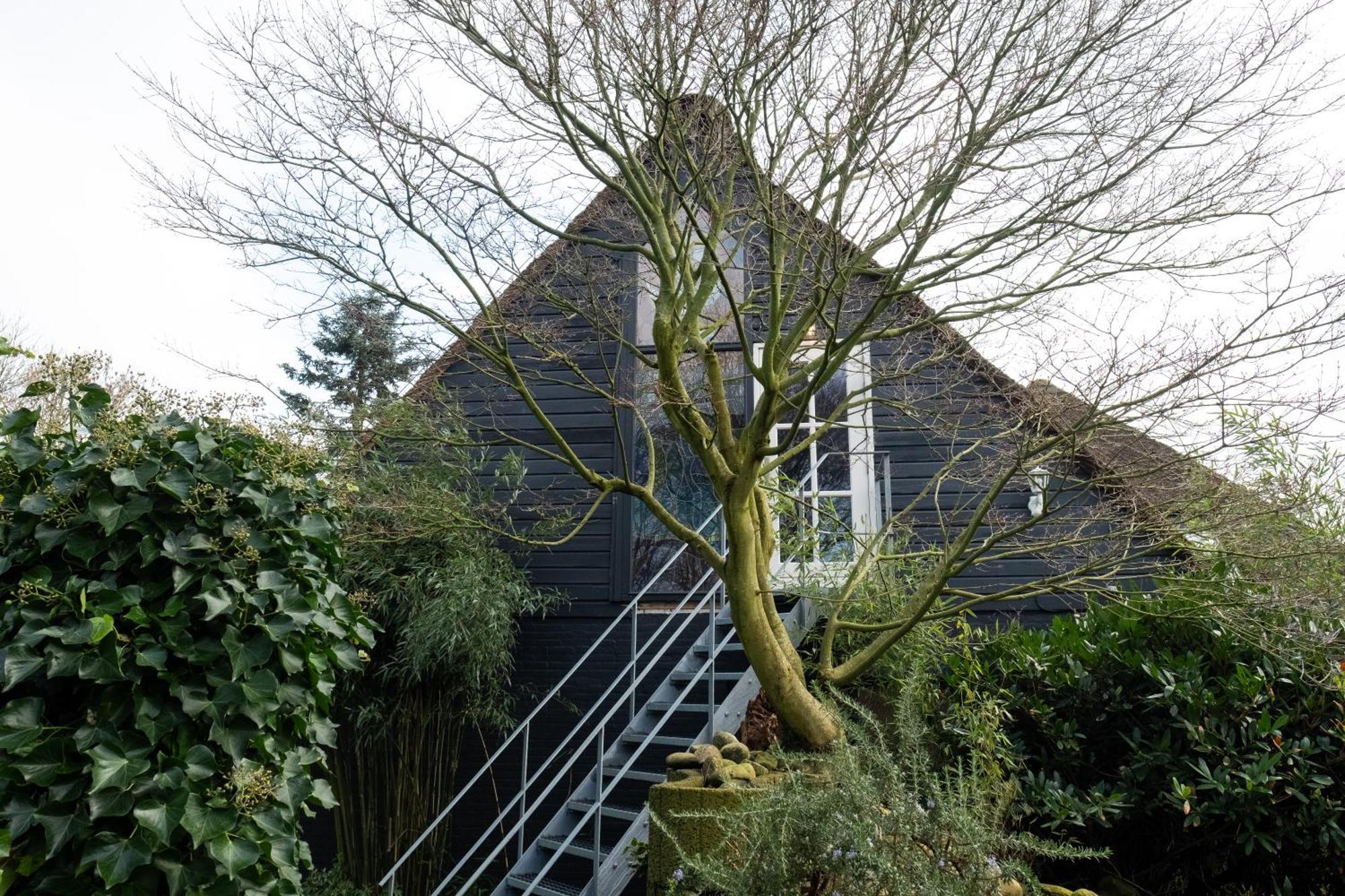 Dream Apartments Hoogwoud Exterior photo